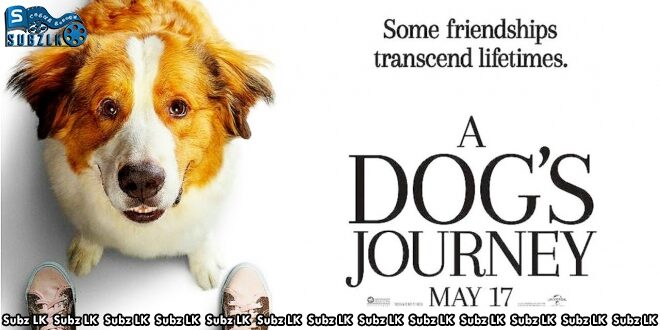 A Dog’s Journey (2019) Sinhala Subtitle
