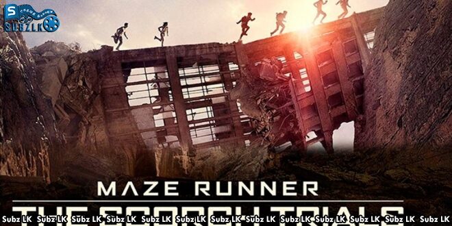 The Maze Runner The Scorch Trials 2015  Sinhala Subtitle