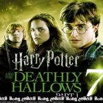 Harry Potter and the Deathly Hallows: Part 1 (2010)   Sinhala Subtitle