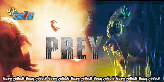 Prey (2022)     Sinhala Subtitle