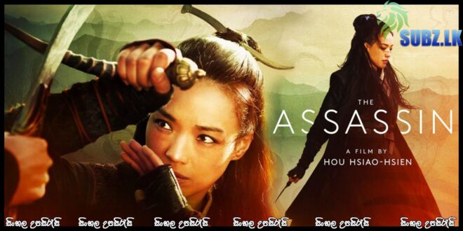 The Assassin (2015)  Sinhala Subtitle