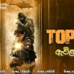 Triggered (2024) Sinhala Subtitle