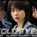 Cold Eyes (2013) Sinhala Subtitle