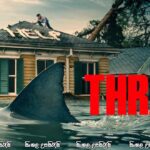 Beneath the Storm (2025) Sinhala Subtitle