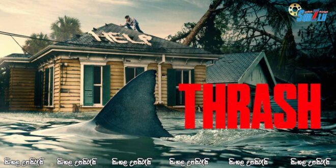 Beneath the Storm (2025) Sinhala Subtitle